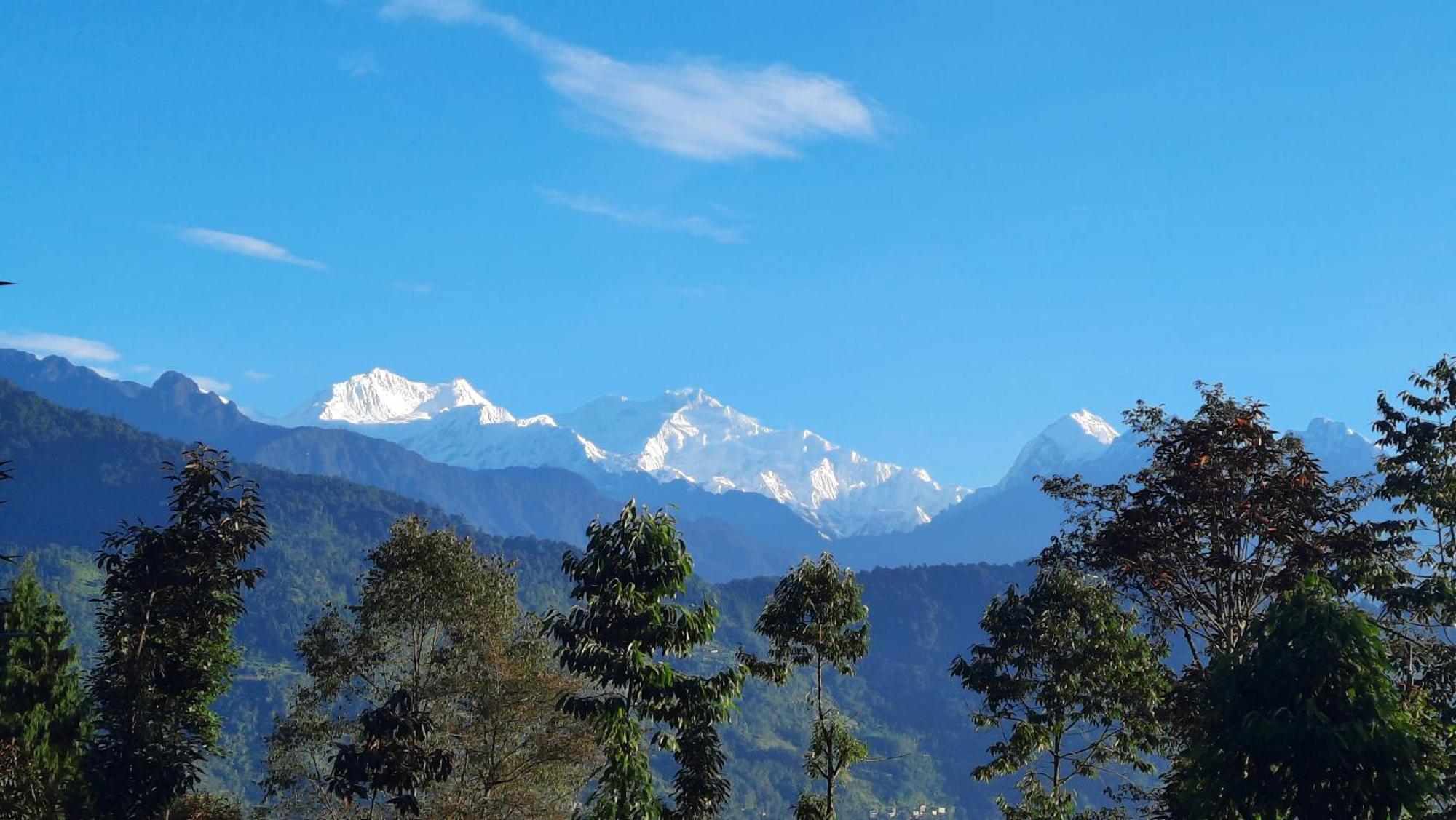 Red Panda Jungle Camp - A Unit Of Davinchi Homes Pvt Ltd Gyalshing 外观 照片